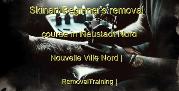 Skinart Beginner's removal course in Neustadt Nord Nouvelle Ville Nord | RemovalTraining | RemovalClasses | SkinartTraining-Switzerland